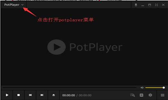 PotPlayer中文版下载
