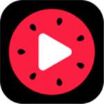 西瓜电视视频安卓免费版