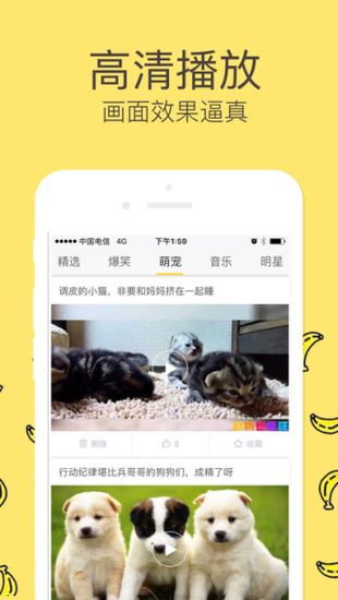 榴莲视频app下载