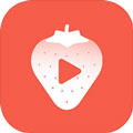 草莓视频APP下载进入手机版破解版