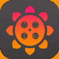 在线观看免费的幸福宝向日葵app官方入口下载