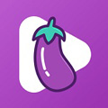 茄子视频人app下载ios