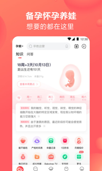 宝宝树孕育app软件下载